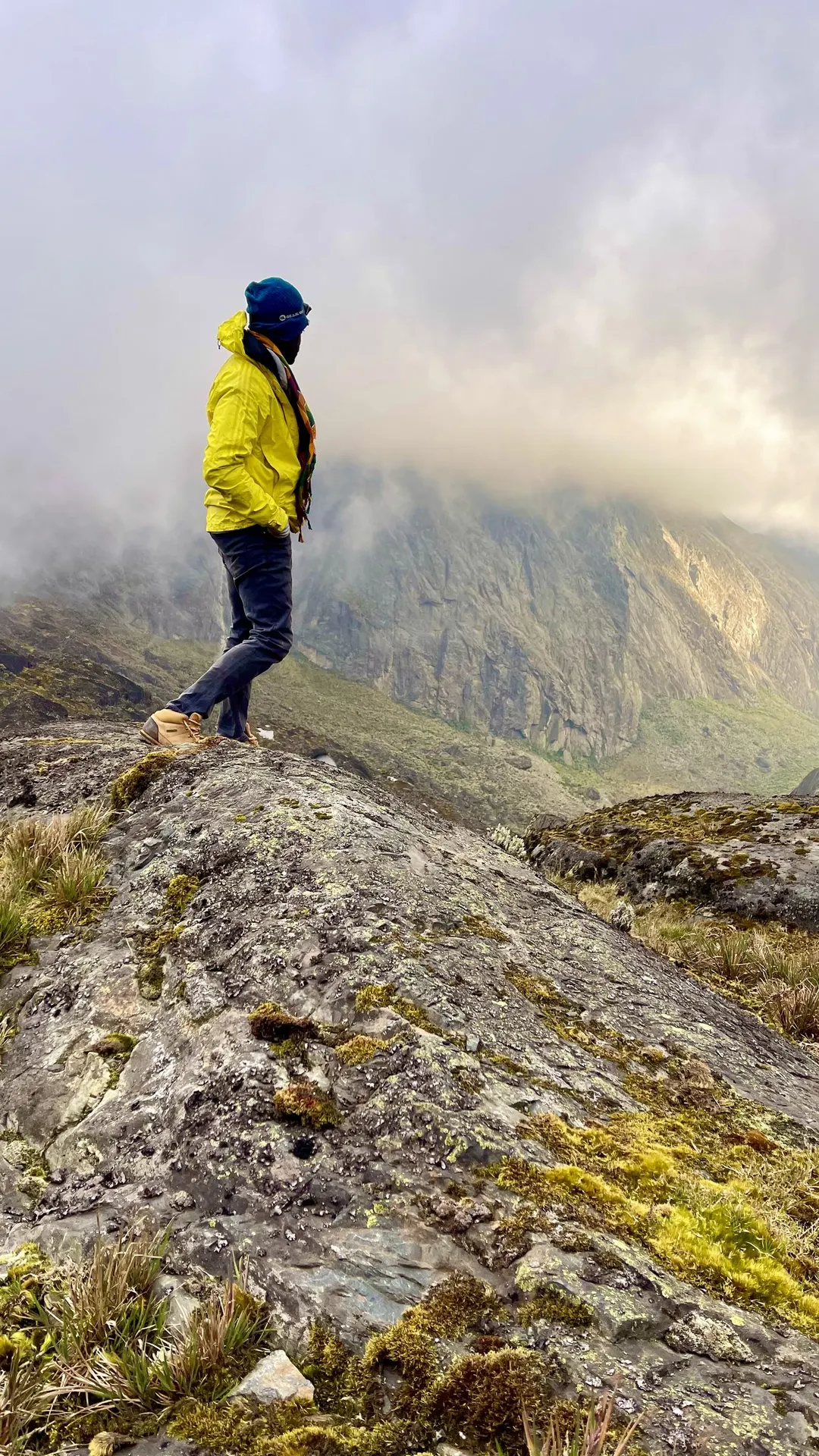 Descending a Rwenzori ridge